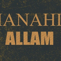 Manahil Allam