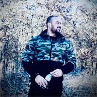 Hameed Hashimi