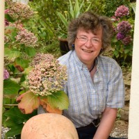 Victorine Van Der Hoop-Terwindt