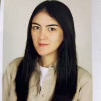 Buket Ercan