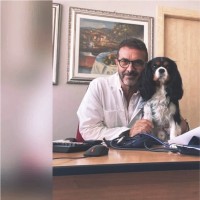 Massimo Petrelli