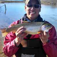 Bruce Fukui