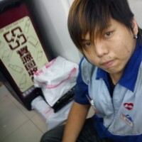 張智偉小白豬