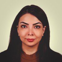 Nafiseh Ansari