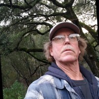 Dave Ingalls