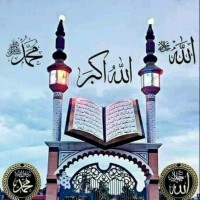 محمد عارف