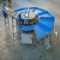 César Ponce Fonseca