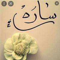 ساره سليمان