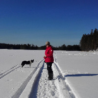 Aila Tapio