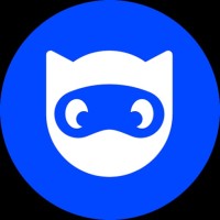 Ninja Cat
