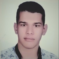 Mohammad Javad Vali