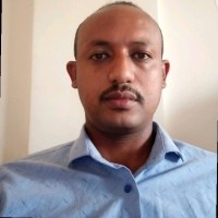 Surafel Bekele