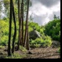 Letsumukarthik C