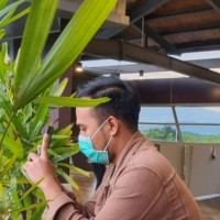 Imamuddin Hafidz