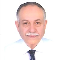 Mohsen Eldaly