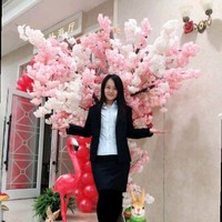 王晓红