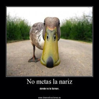 Walter Llllll