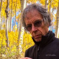 Gregory Moll