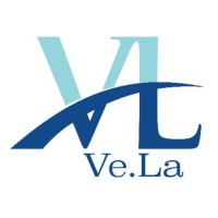 Vela Servizi S.R.L.S.