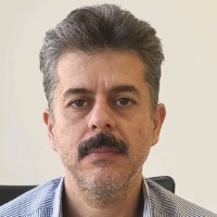 Seyed Hasan Fatemi