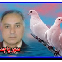 Taha Egypt