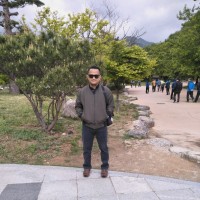 Dedi Supriyanto