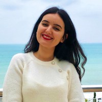 Dina Akroute