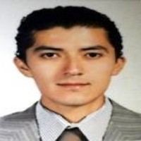 Edgar Fernando Arceo Buendia