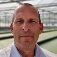 Yoav Tregerman