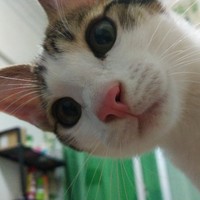 阎亚伟