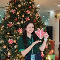 Diep Tran Ngoc
