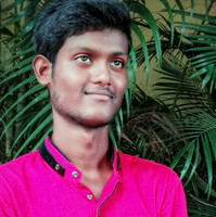 Souvik Bera