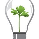 Electrical Solutions Network (ESN)
