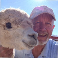 Terry Stapley