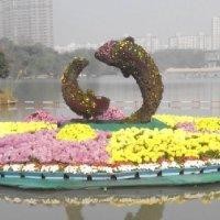 余本刚