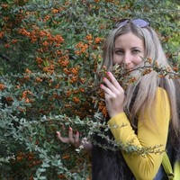 Елена Бурденкова