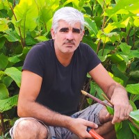 Fede Faci Miguel