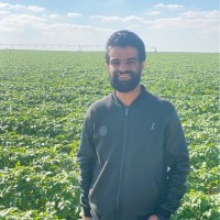 Mohammed Elgashy