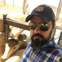 Brunno Castro