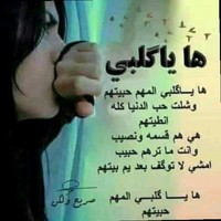 أمير شاكر