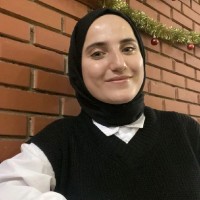 dilek ay
