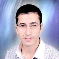 Mohamed Korany
