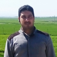 Nassr Allawi