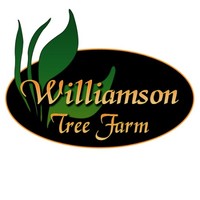 David Williamson