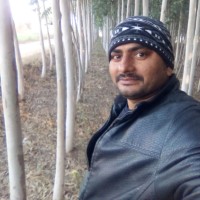 Anil Tiwari