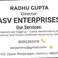 ASV Enterprises