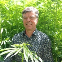 Hervé Derrien