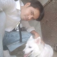 Raj Maurya