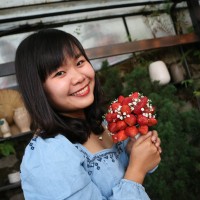 Van Phan