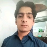 Muhammad Tauqeer